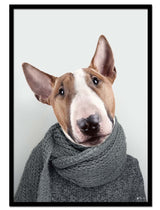 Bill The Bull Terrier