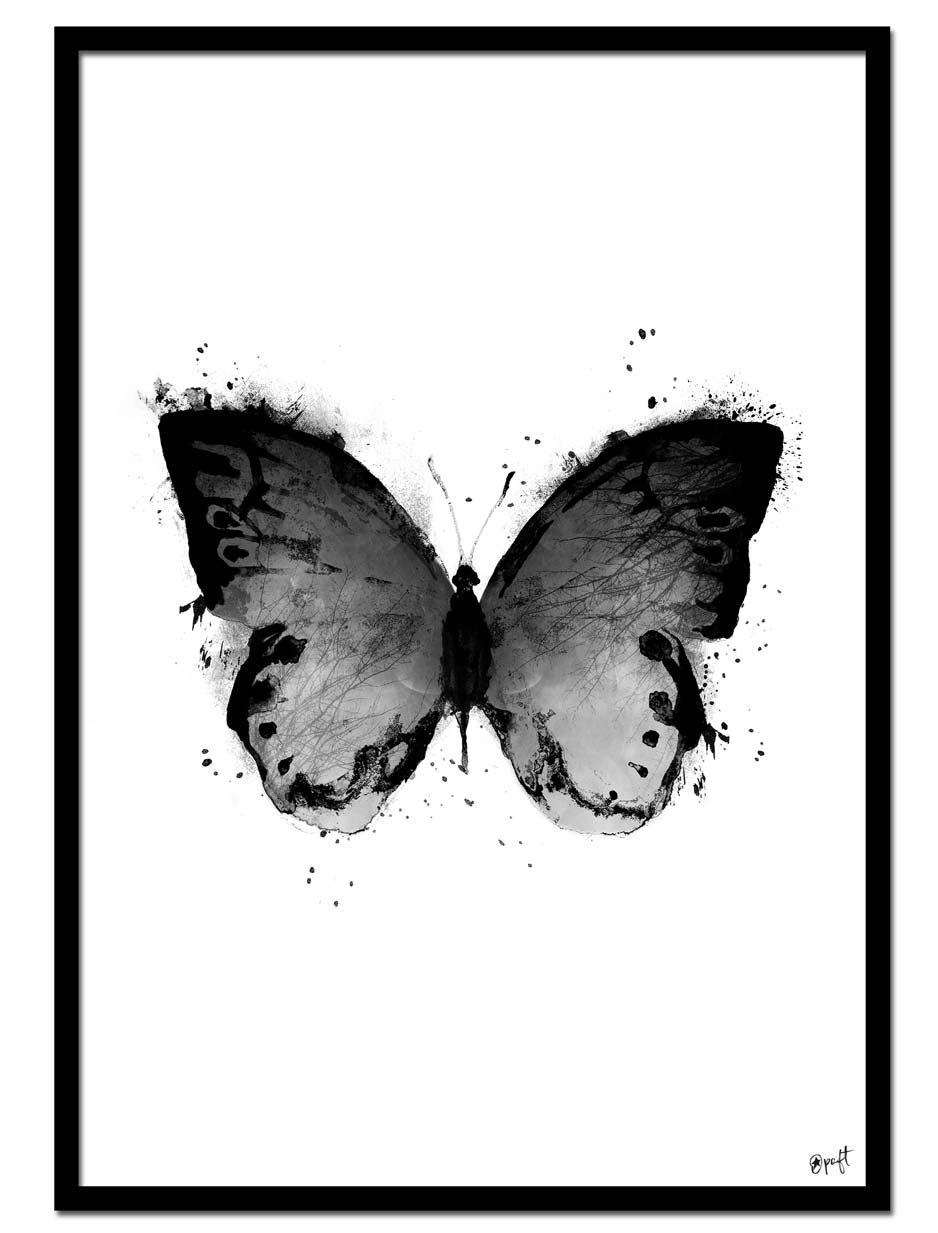 Black Butterfly