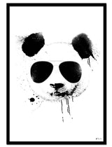 Cool Panda