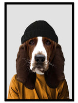Fred the Basset Hound
