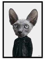 Mr. Sphynx