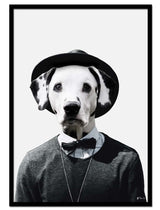 Nick the Dalmatian