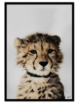 Tiny Cheetah