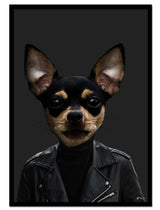 Tito the Chihuahua