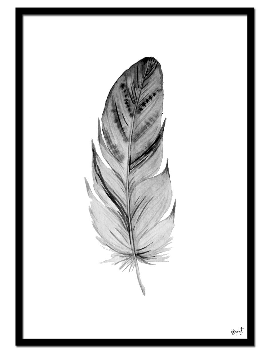 Feather