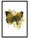 Yellow Butterfly